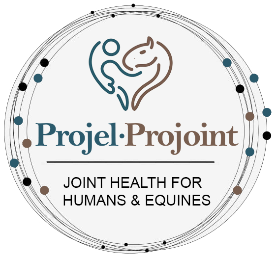 Projel*Projoint